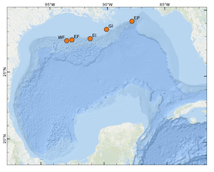 Credit: NOAA SEFSC Gulf of Mexico Moored Passive Acoustic Studies